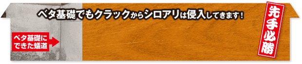 先手必勝!ホウ酸で解決