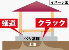 蟻道とクラック
