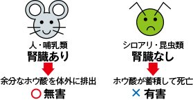 人に無害